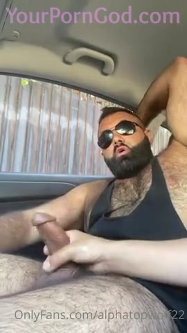 persian alpha wolf gay porn 532 _2