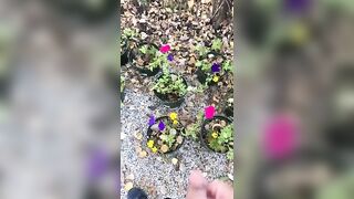 POV Risky Outdoor Pissing & Cumming Compilation all over our Potted Flowers at the Campsite Today Jetsfan1983 - BussyHunter.com