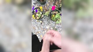 POV Risky Outdoor Pissing & Cumming Compilation all over our Potted Flowers at the Campsite Today Jetsfan1983 - BussyHunter.com