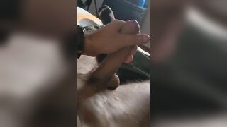 Homemade Handjob, a Lot of Cum at the end of my Great Orgasm LiamGaell - BussyHunter.com