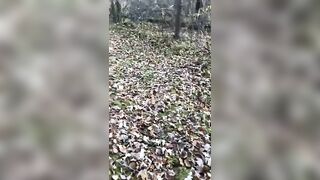 Solo Male Outdoor Pissing Compilation from my October Camping Trips 2022 Jetsfan1983 - BussyHunter.com