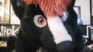 Mega Fursuit Farts & Facesitting [commission] smellyskunkbutt - BussyHunter.com