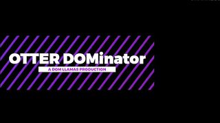 Otter DOMinator Dom Llamas