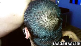 chunky bear sucked and rimmed before bare fucking starts