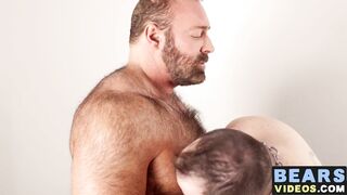 chubby bear and cub engage in ass fucking spitroast session2