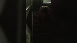25 - 19th Something about stairwells make me wanna get fucked in them... Had this guy come by to give me his huge dick, and I was waiting for him, lubed up, ass up in a - BussyHunter.com (Gay Porn Videos)