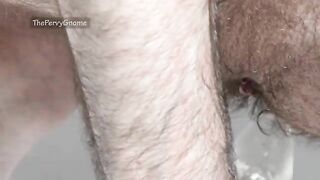 macro for a micro part1 extreme closeup some anal play and prostate cum from a small dick thepervygnome amateur gay porn a gay porno video - BussyHunter.com (Gay Porn Videos xxx)