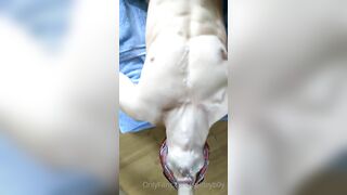 Quickly getting a big load over my face and chest spideyb0y - Gay Fans BussyHunter.com