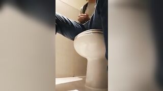 mall bathroom peeing in the toilet then jerking my cock i almost cum there nathan nz - gay video