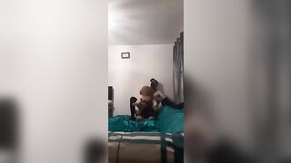 very skinny teen with a mask and long socks fucks his beloved teddy bear on his bed peter bony - gay video