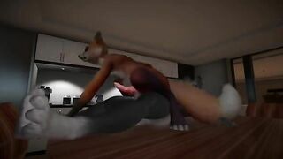 h0rs3 furry animation furry fox and werewolf yr lesnik - gay video