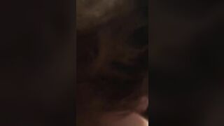 piggy sucking bear cock jaredthefathippy - gay video